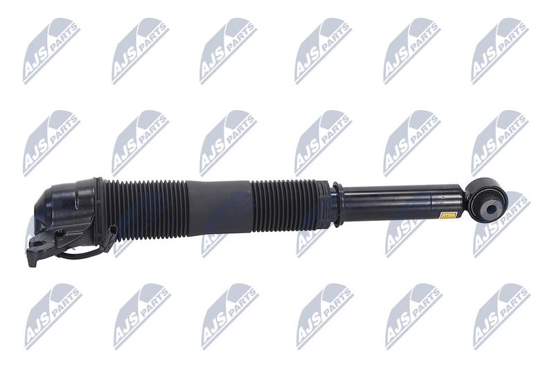 Amort, NTY A-LR-021