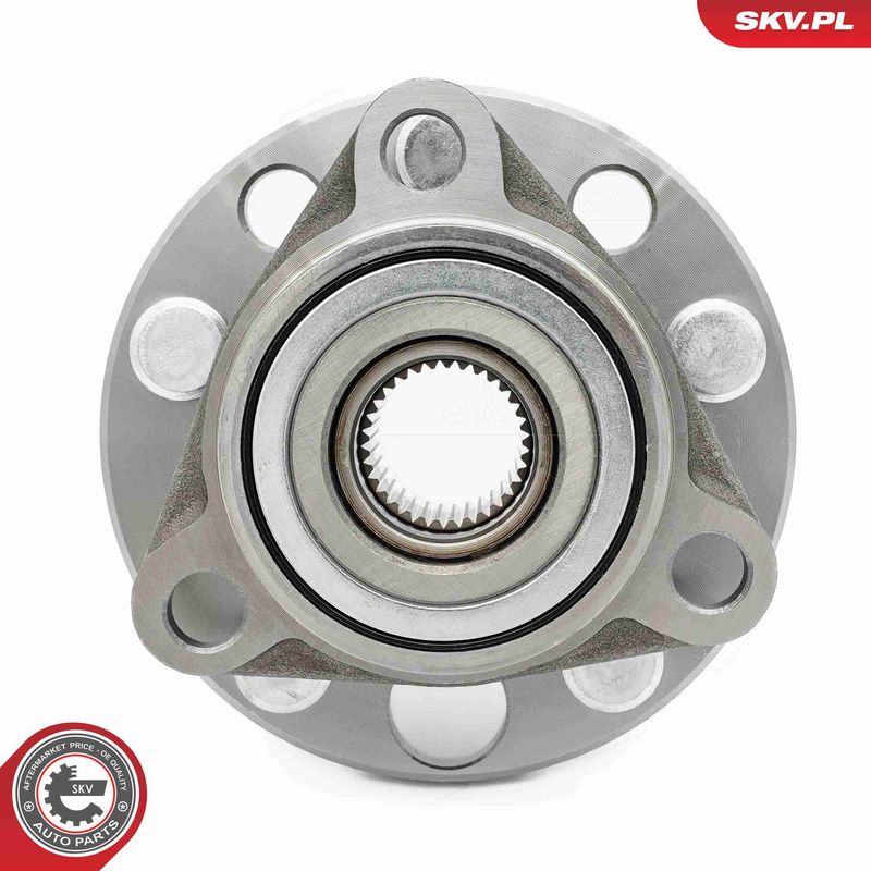 ESEN SKV 29SKV610 Wheel Bearing Kit