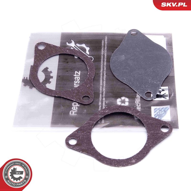 Set de reparație, supapă AGR ESEN SKV 14SKV574