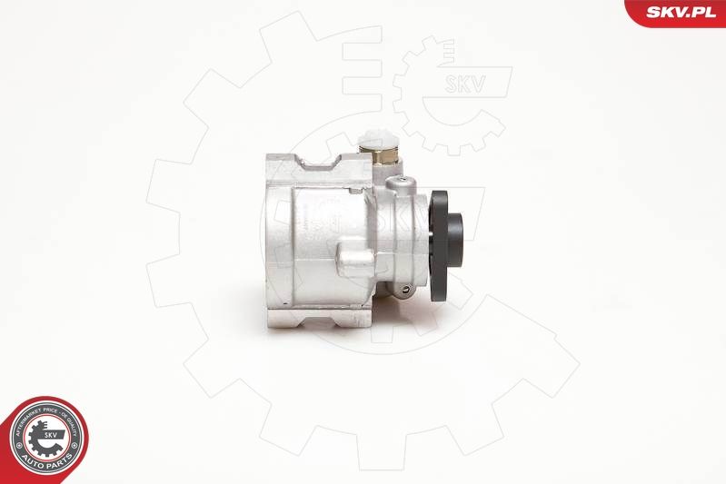 ESEN SKV 10SKV053 Hydraulic Pump, steering
