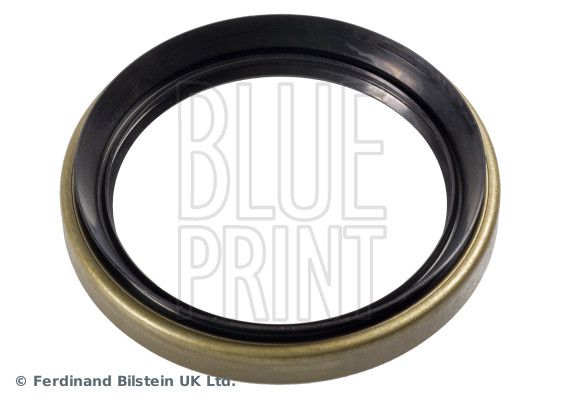 BLUE PRINT Veleno sandariklis, rato guolis