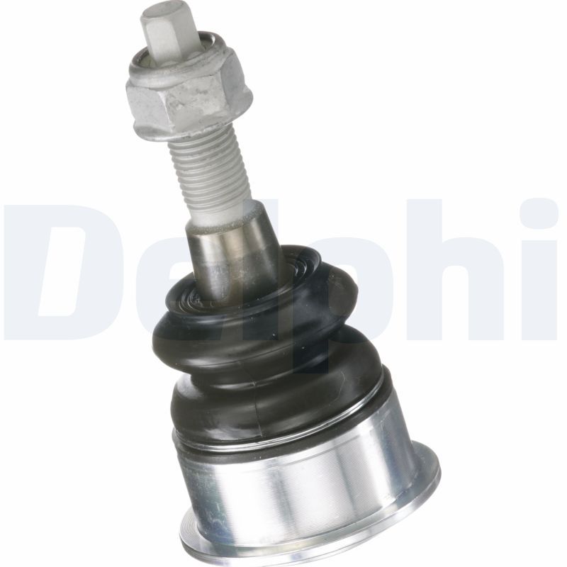 TC6210.JPG