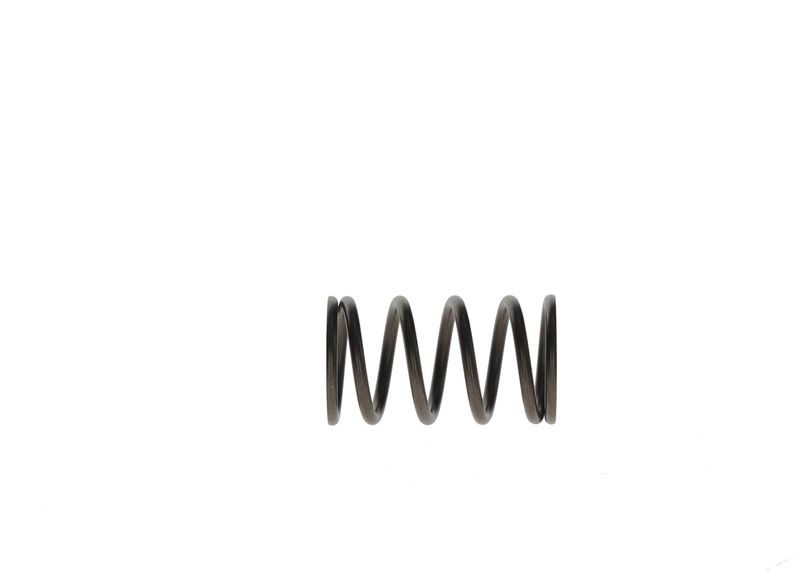 BOSCH F 00R 0P1 447 Spring