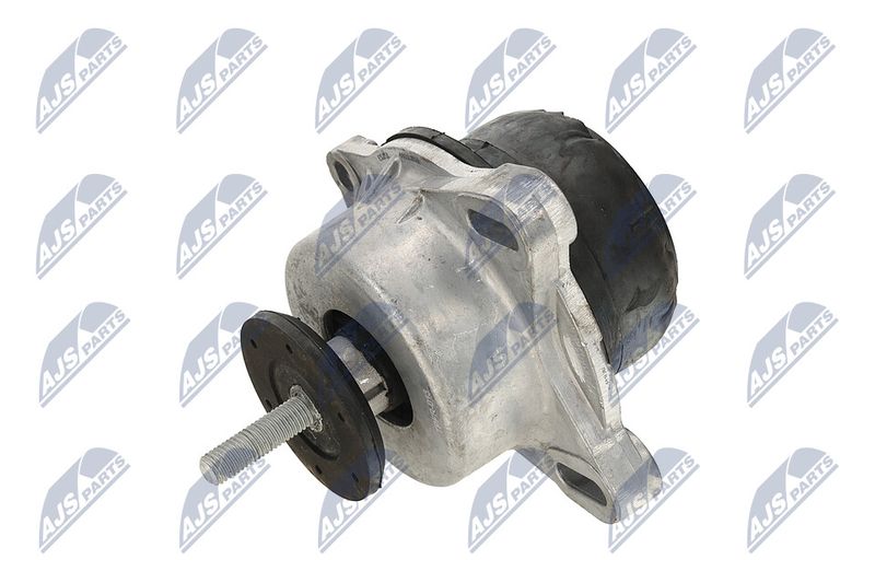 Paigutus, Mootor, NTY ZPS-FR-013