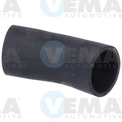 VE55976.JPG