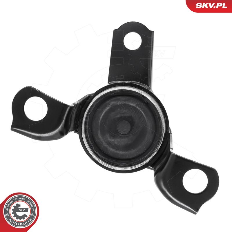 Paigutus, Mootor, ESEN SKV 75SKV316