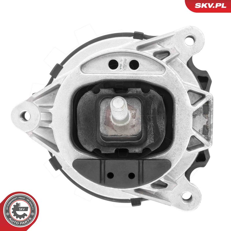 Paigutus, Mootor, ESEN SKV 75SKV285