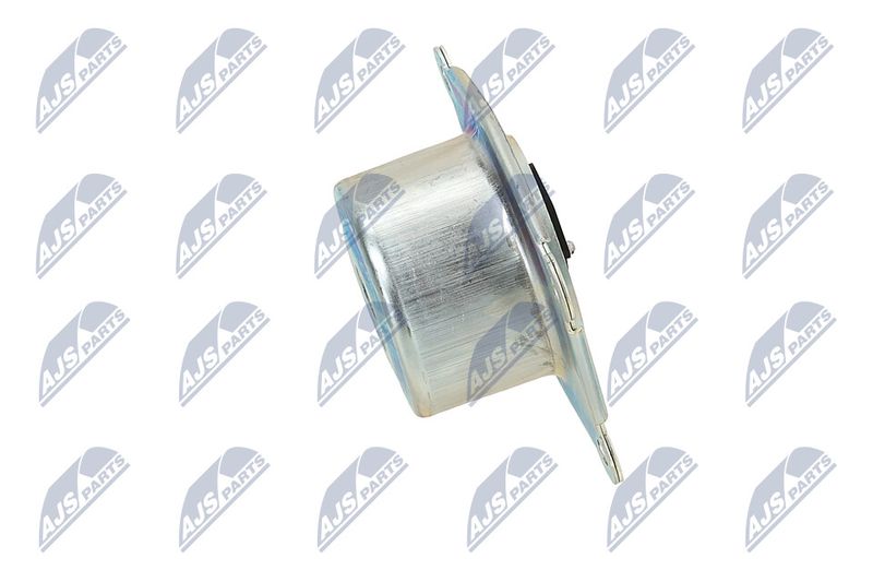 Paigutus, Mootor, NTY ZPS-PL-044