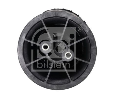 Lõõts, õhkvedrustus, FEBI BILSTEIN 107301