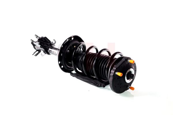 Vedruamort, GH GH-352388C01