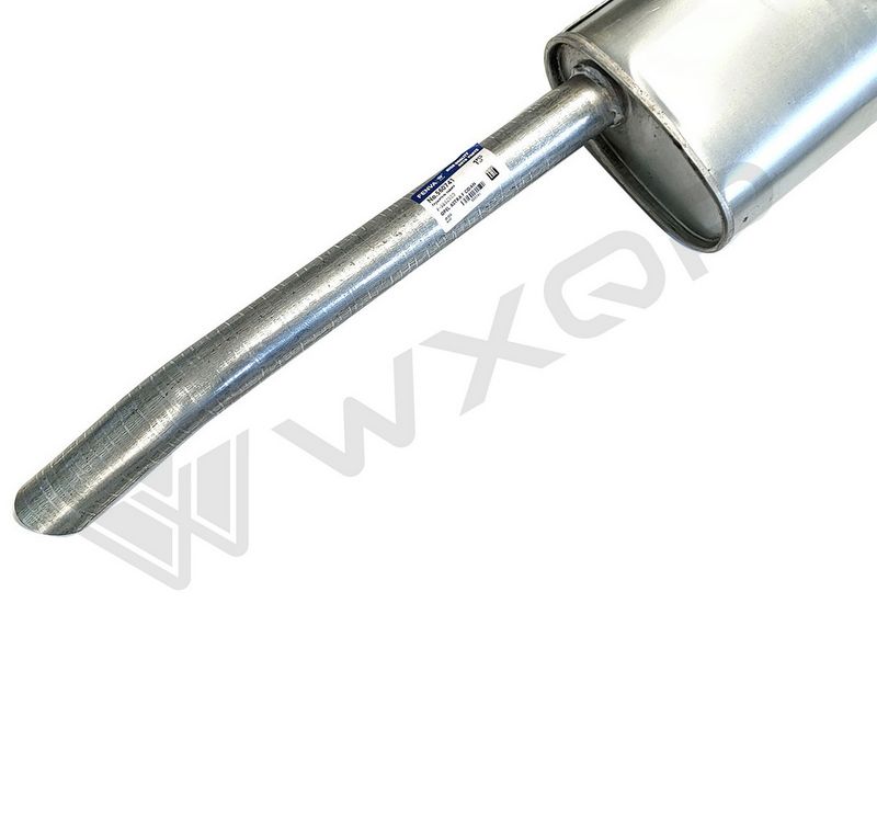 WXQP 560741 Galinis duslintuvas