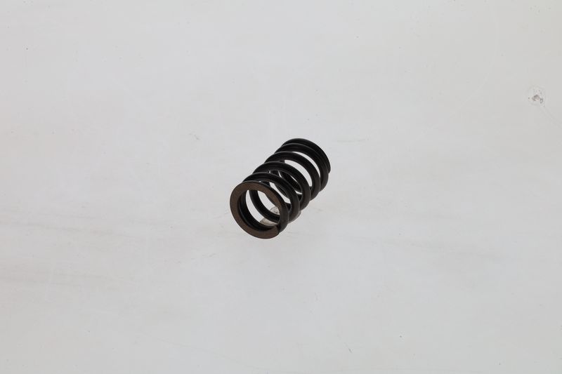 Arc 1 424 619 025 BOSCH