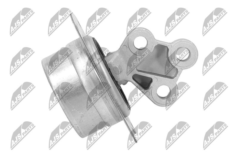 Paigutus, Mootor, NTY ZPS-PL-025