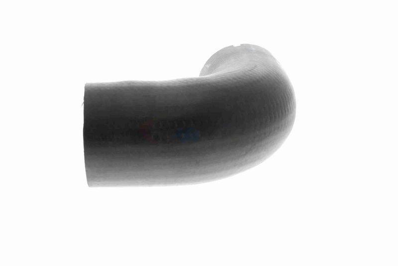 VAICO V42-0565 Charge Air Hose