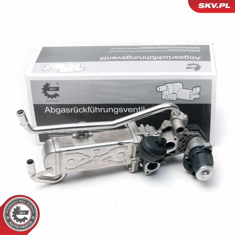 EGR-klapp, ESEN SKV 14SKV096