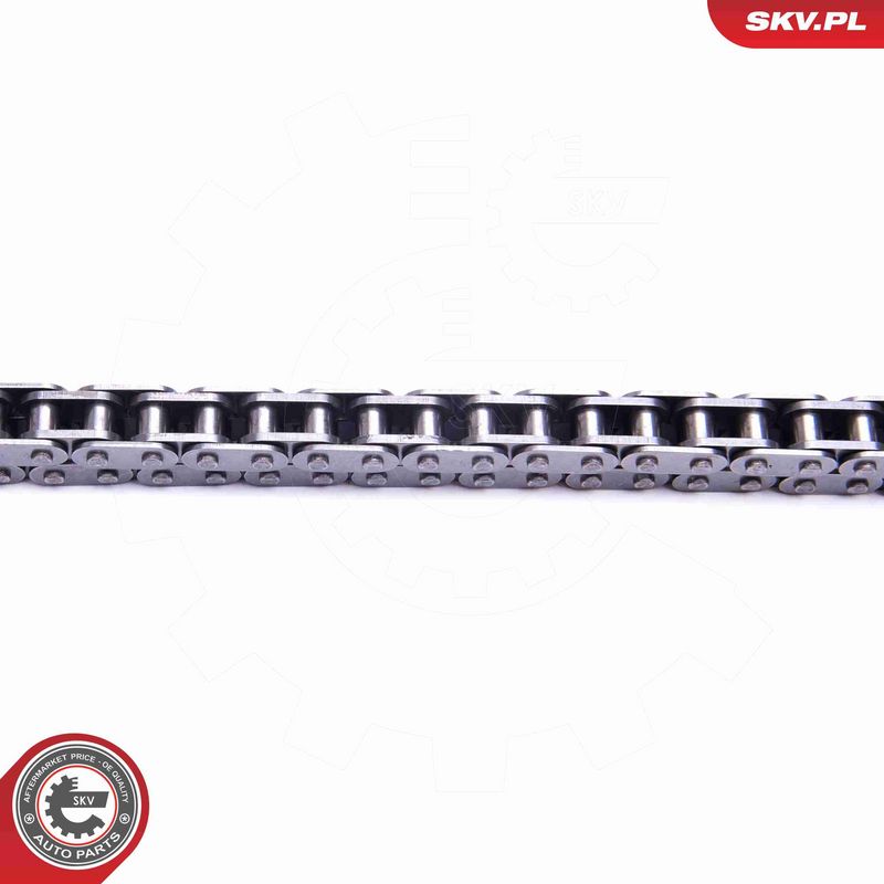 ESEN SKV 21SKV220 Timing Chain Kit