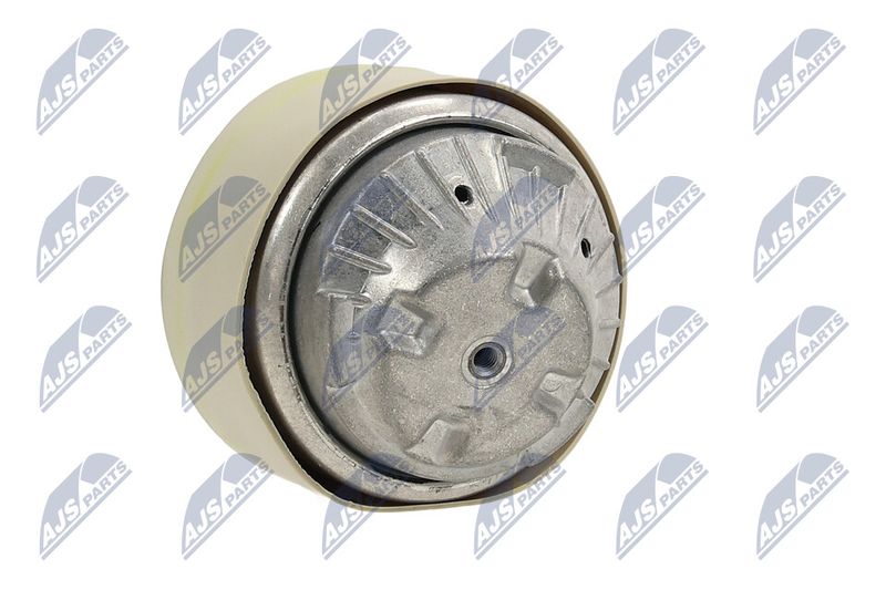 Paigutus, Mootor, NTY ZPS-ME-101