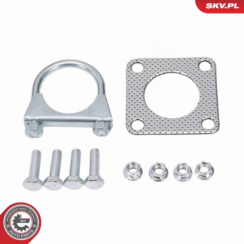 ESEN SKV 62SKV173 Catalytic Converter