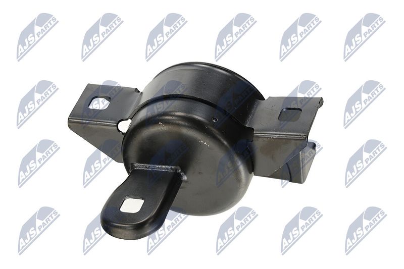 Paigutus, Mootor, NTY ZPS-DW-011