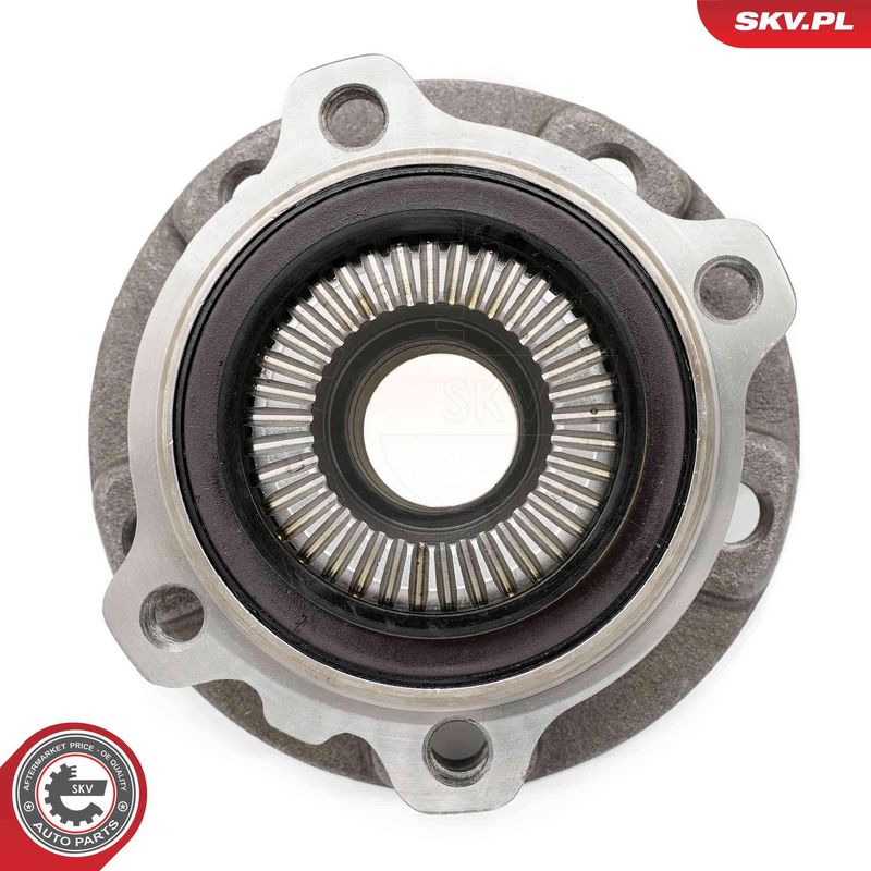 ESEN SKV 29SKV329 Wheel Bearing Kit