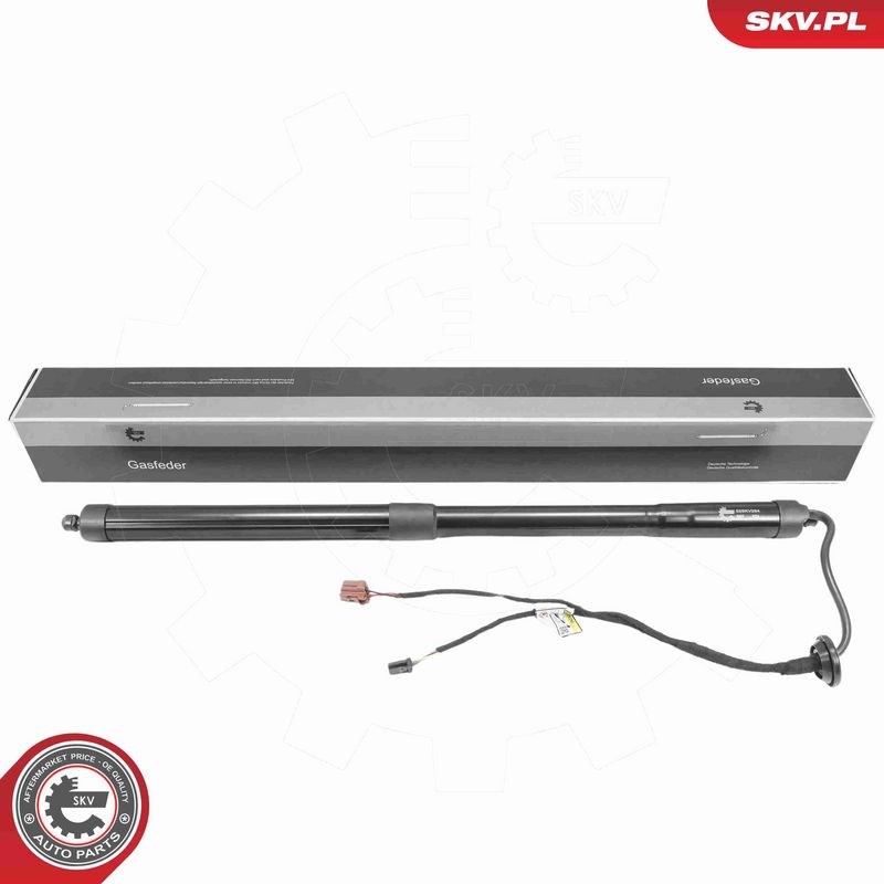 ESEN SKV 52SKV284 - Electric Motor, tailgate