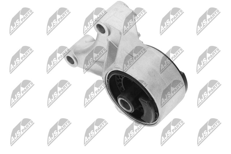 Paigutus, Mootor, NTY ZPS-PL-069