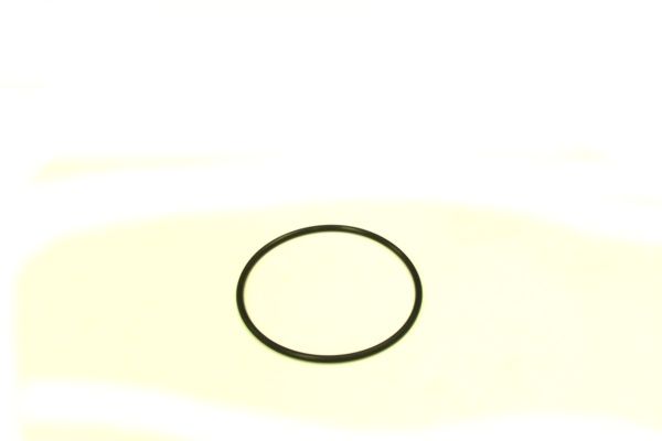 54938.JPG