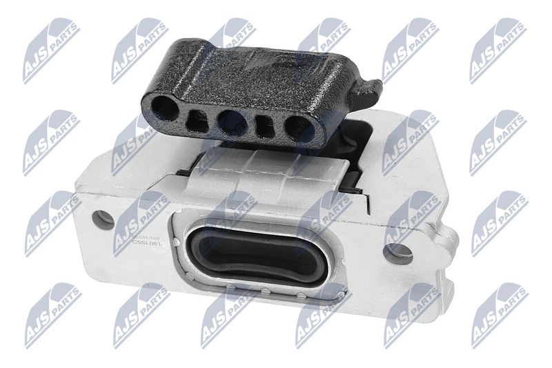 Paigutus, Mootor, NTY ZPS-CH-103