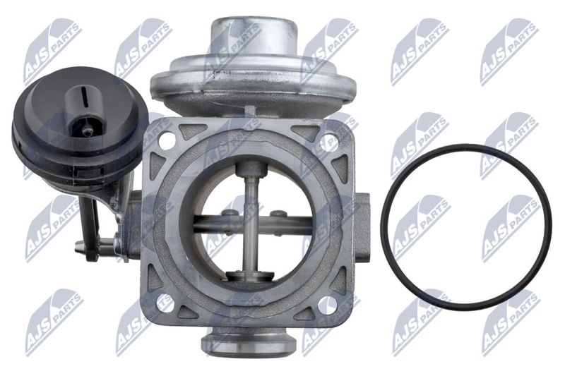 EGR-VW-062_5-WM.JPG
