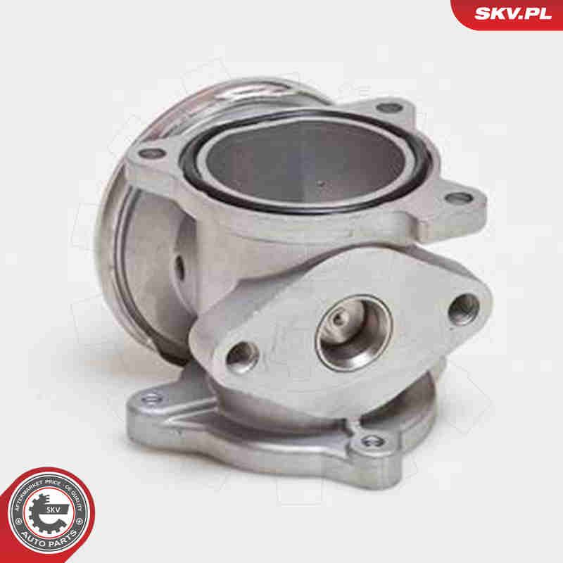 ESEN SKV 14SKV034 EGR Valve