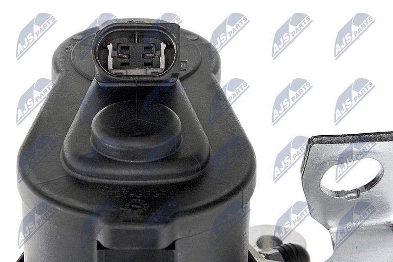 hzt-vw-015_5-wm.JPG