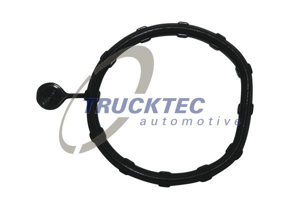 Ущільнення, водяний бак, Trucktec Automotive 02.19.346