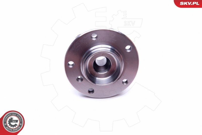 ESEN SKV 29SKV286 Wheel Bearing Kit