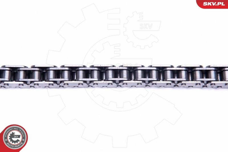 ESEN SKV 21SKV135 Timing Chain Kit