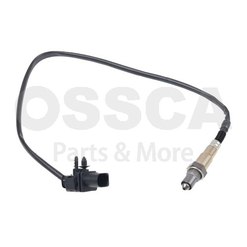 Lambda andur, OSSCA 59338