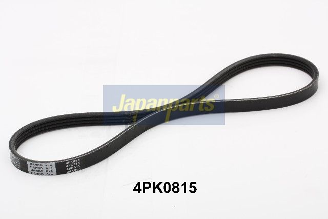 Correa trapecial poli V