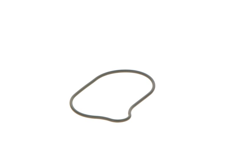 BOSCH 2440210028 Rubber Ring