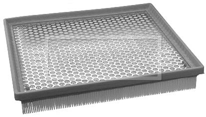 BFA2081_178902.JPG
