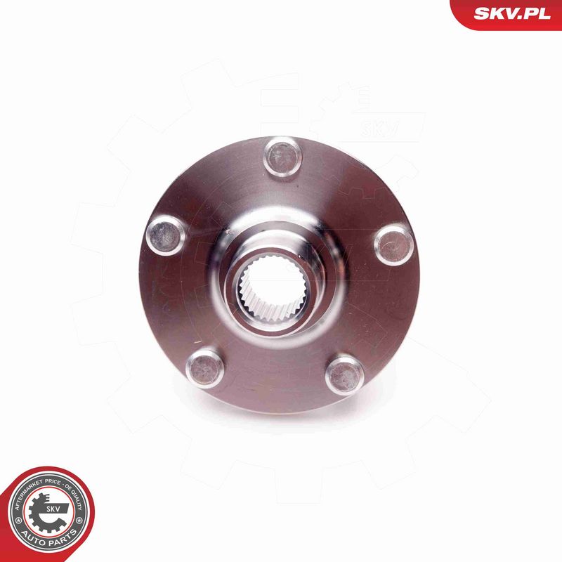 ESEN SKV 29SKV135 Wheel Bearing Kit