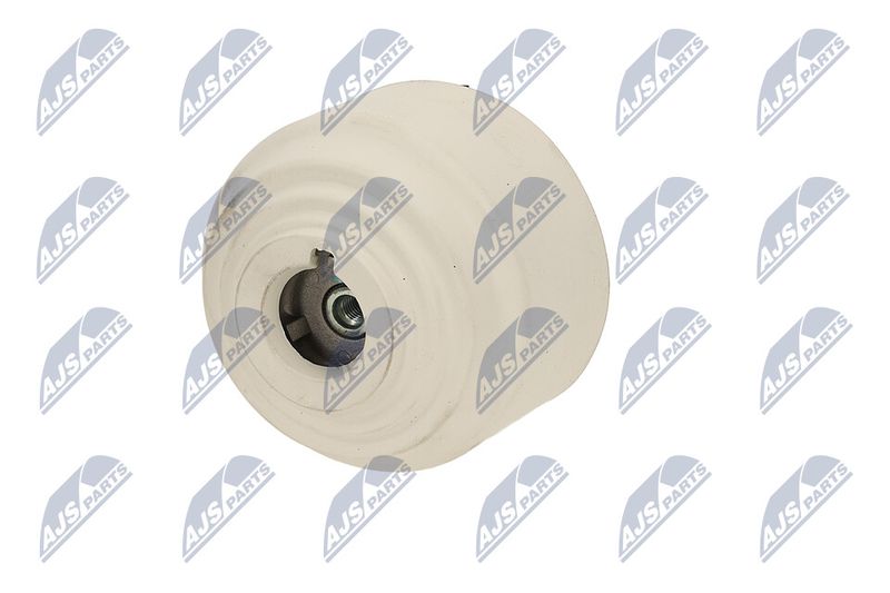 Paigutus, Mootor, NTY ZPS-ME-090