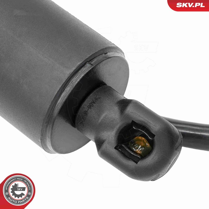 ESEN SKV 52SKV292 Electric Motor, tailgate
