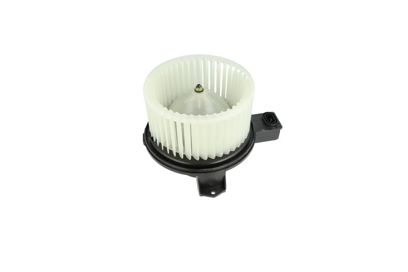 Salongipuhur, NRF 34345