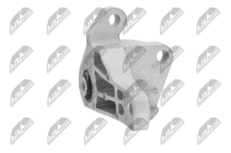 Paigutus, Mootor, NTY ZPS-FR-066