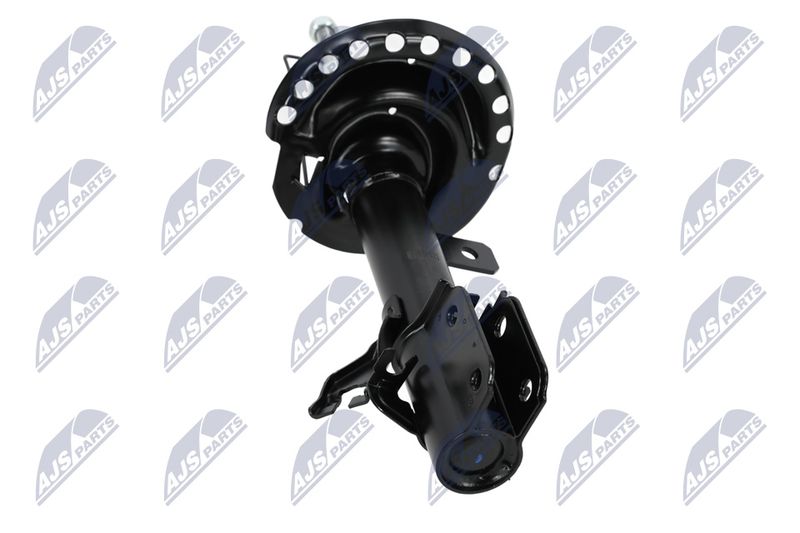 Amort, NTY A-NS-023