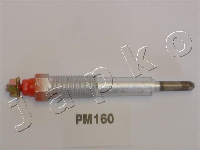 PM160_1.JPG