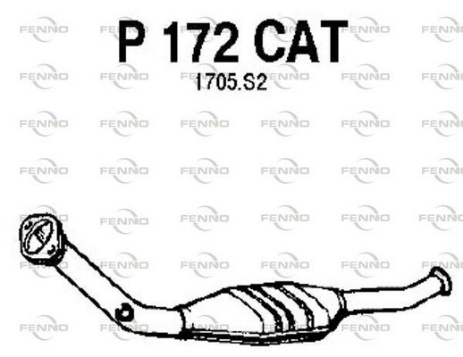 P172CAT.JPG