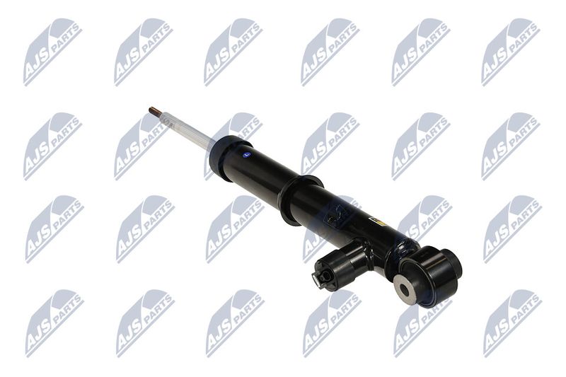 Amort, NTY A-LR-034