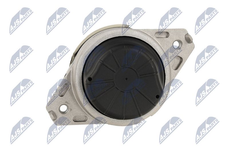 Paigutus, Mootor, NTY ZPS-ME-077