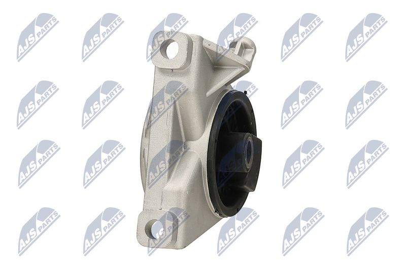Paigutus, Mootor, NTY ZPS-PL-034