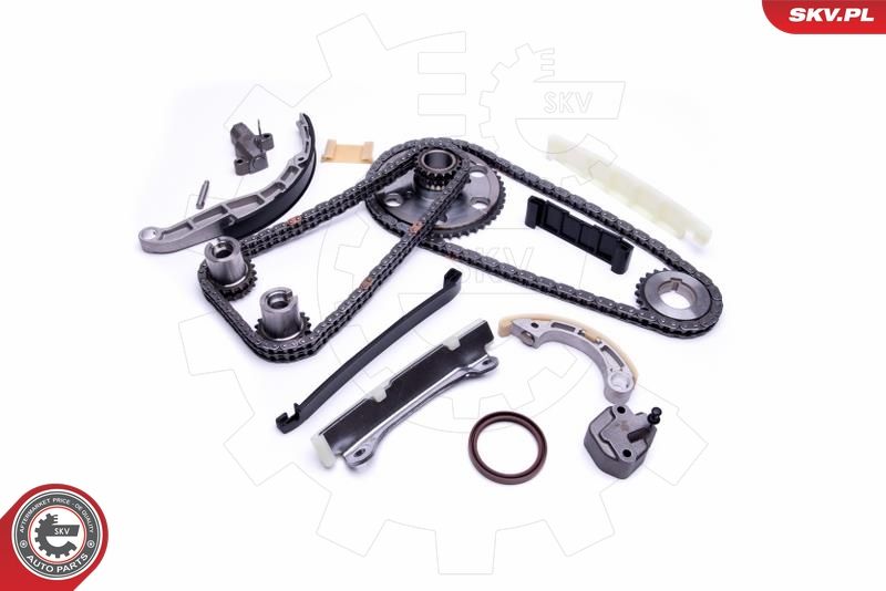 ESEN SKV 21SKV204 Timing Chain Kit